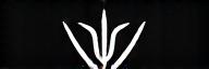 Veridian Ascent Logo White